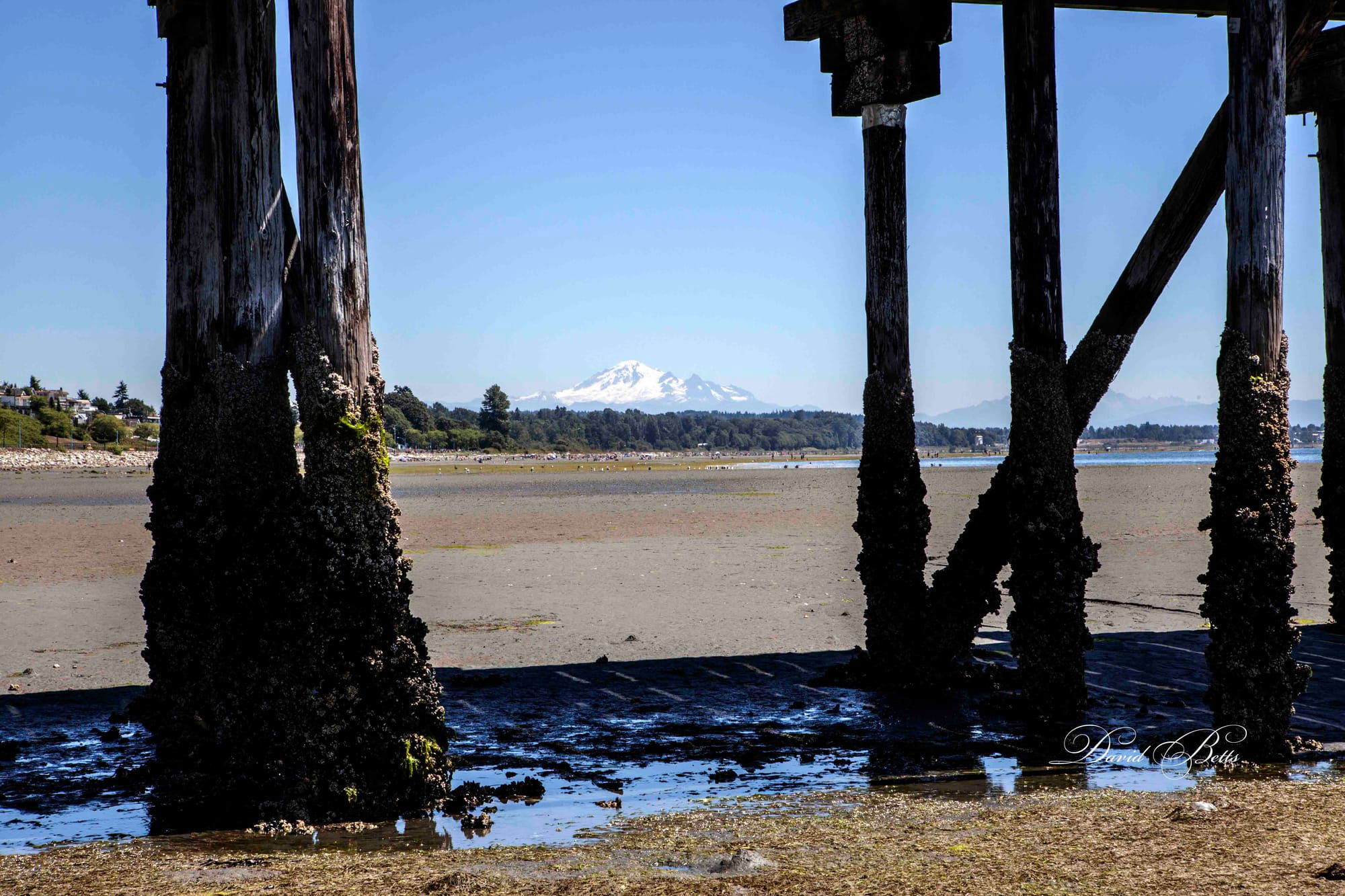 Mount Baker, Washington State, USA