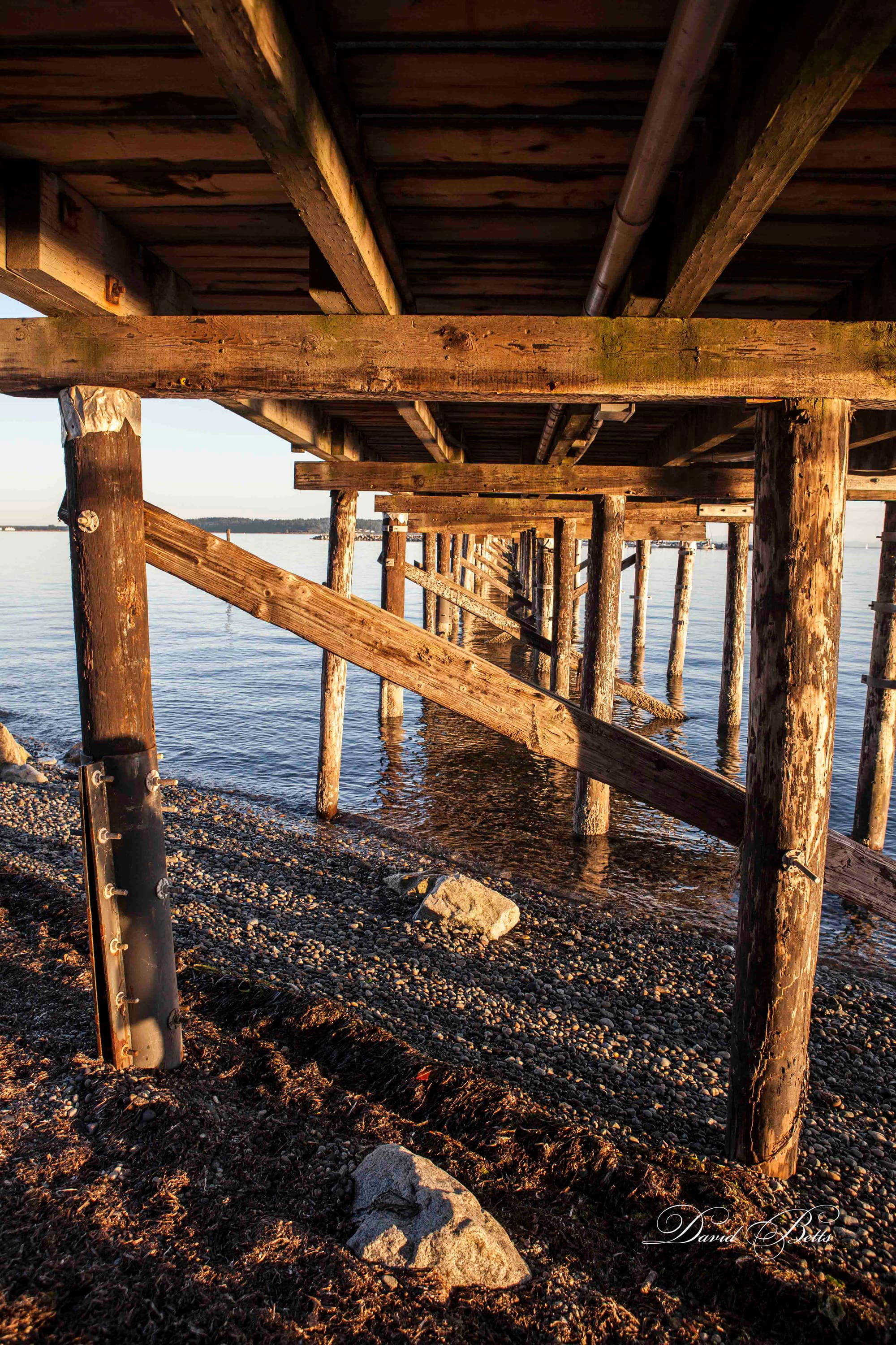 Under the Jetty