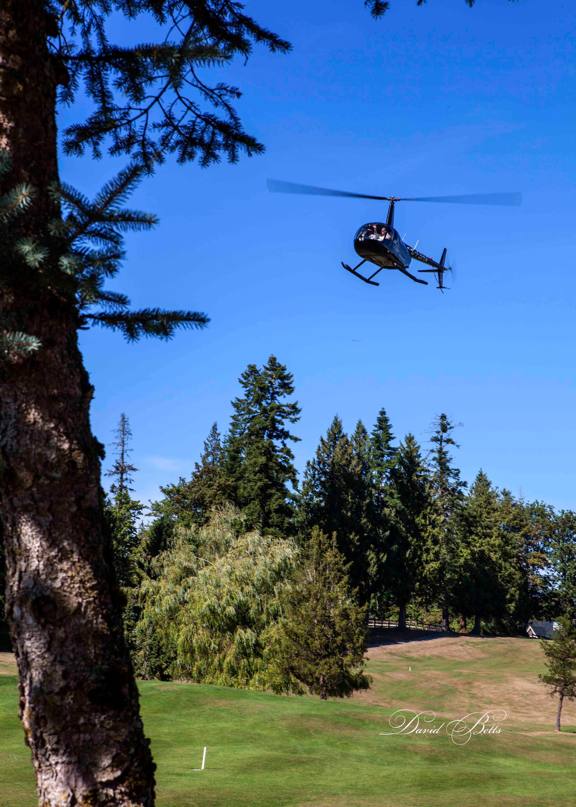Helicopter over the Golf Course