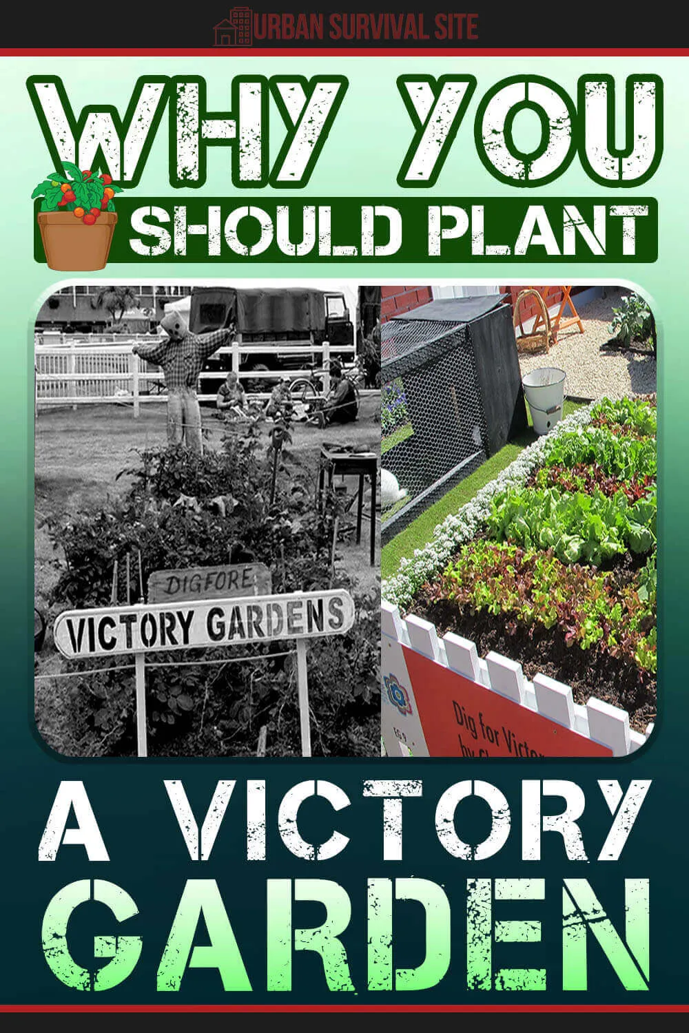 Why You Should Plant A Victory Garden