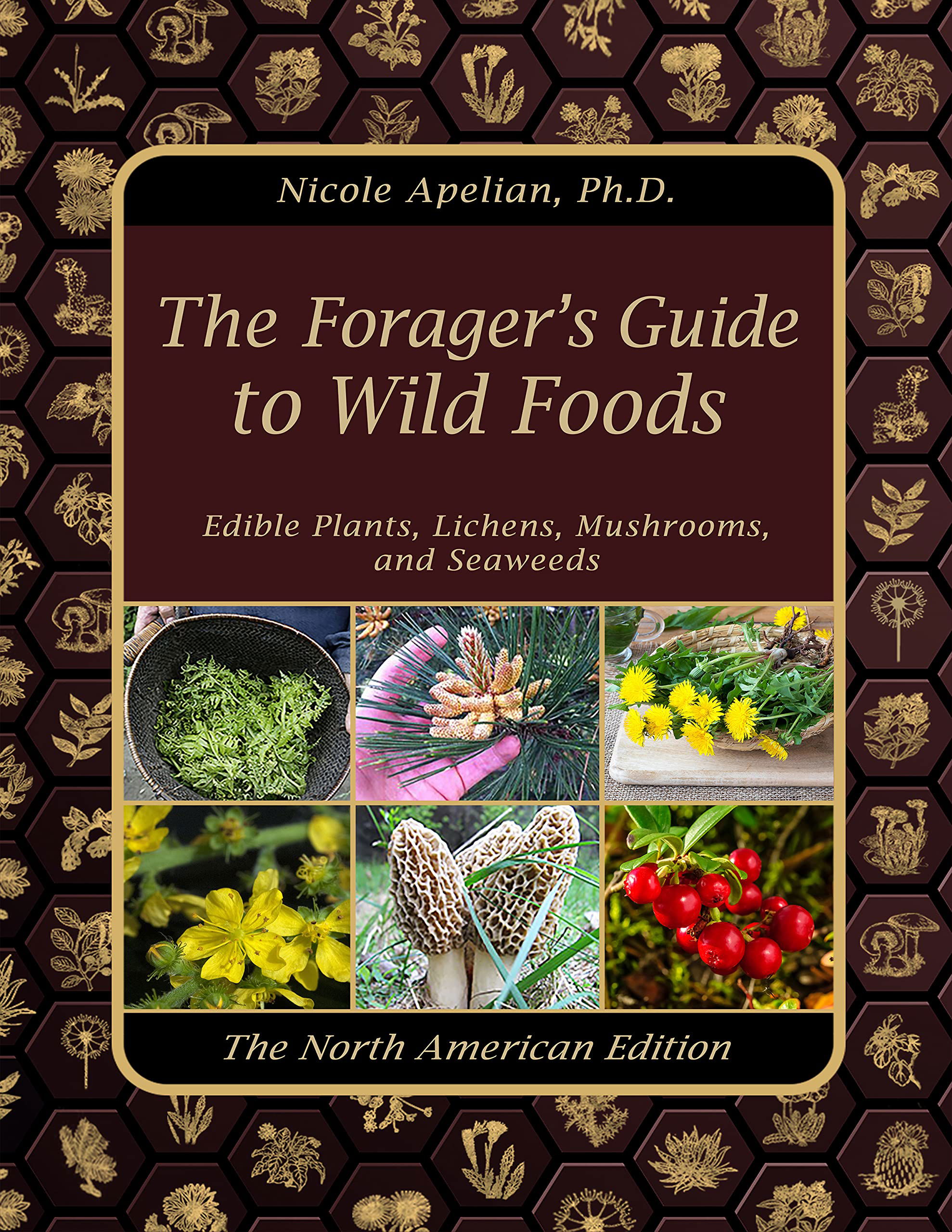 The Forager's Guide To Wild Foods
