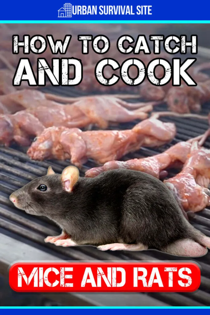 How To Catch And Cook Mice & Rats