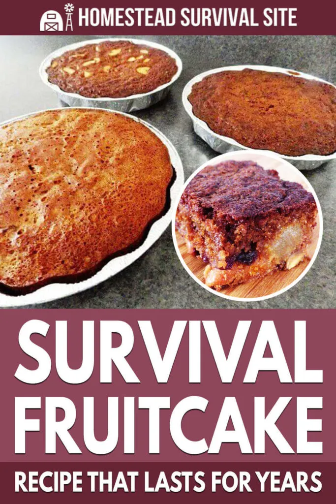 Survival Fruitcake Recipe That Lasts For Years