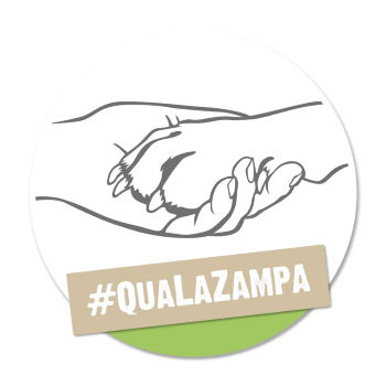 Qualazampa