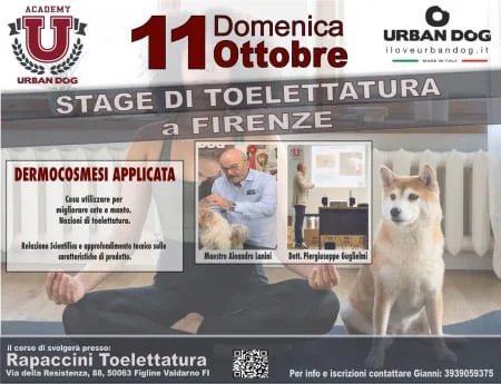 Stage di Toelettatura a Firenze
