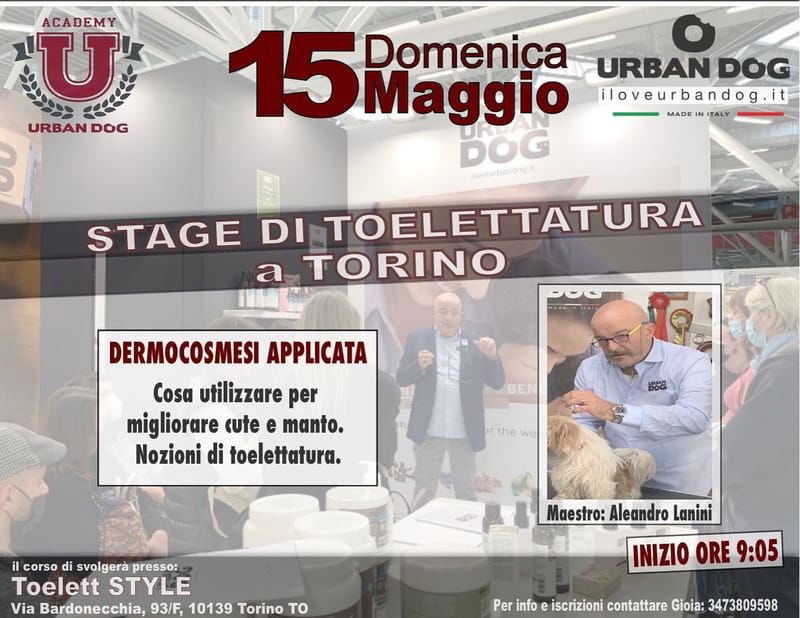 Stage di Toelettatura