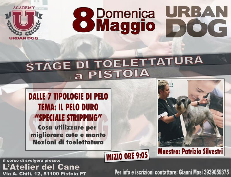 Stage di Toelettatura