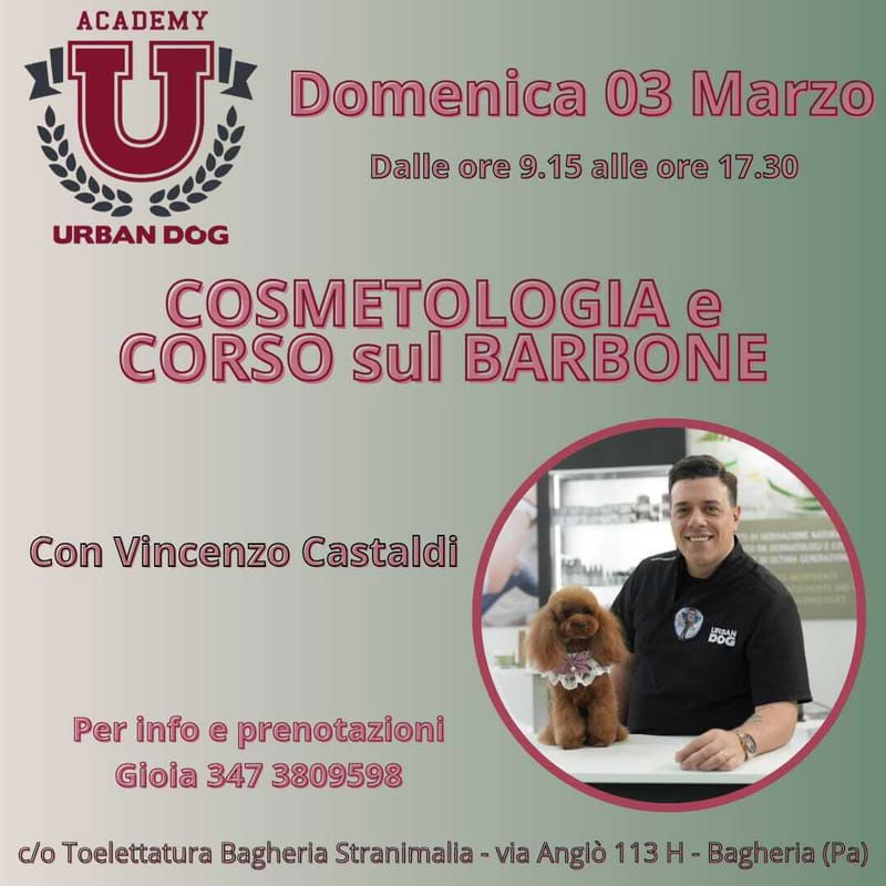 Stage di toelettatura - Cosmetologia e Corso sul Barbone