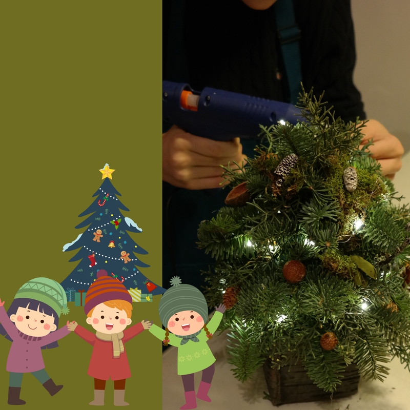 New! Magical mini fresh Christmas Tree -KIDS WORKSOP