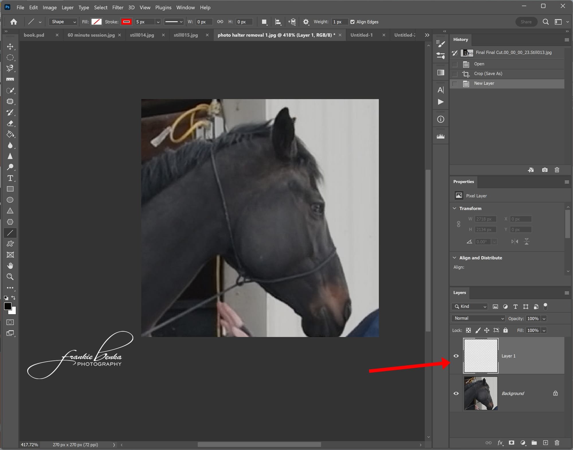 Removing photo halters in Photoshop