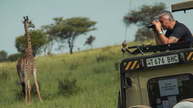 Private Guided Safari Tours Tanzania – Enjoying In The True Wild - Kimgoni Tanzania Safaris