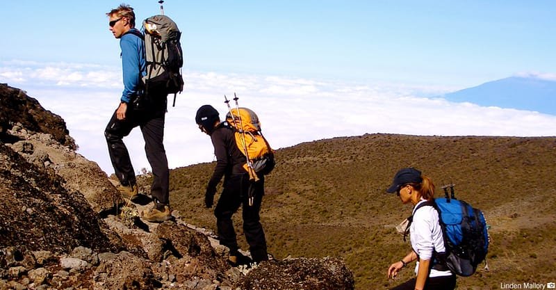 Luxury Kilimanjaro Climb Tours – A Thrilling Climbing Experience - Kimgoni Tanzania Safaris