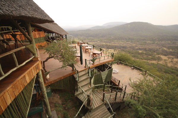 5 Days Tanzania Lodge Safari Tour will Mesmerize You! - Kimgoni Tanzania Safaris