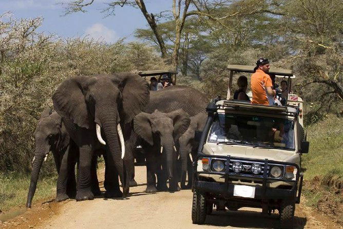 TANZANIA CUSTOM-MADE SAFARI TOUR IS WHAT YOU EXACTLY NEED!