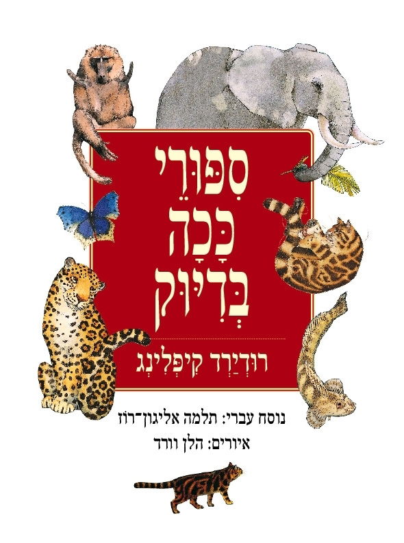 סיפורי ככה בדיוק