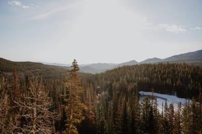 《我在大自然之中找到快樂》(+A、非A)