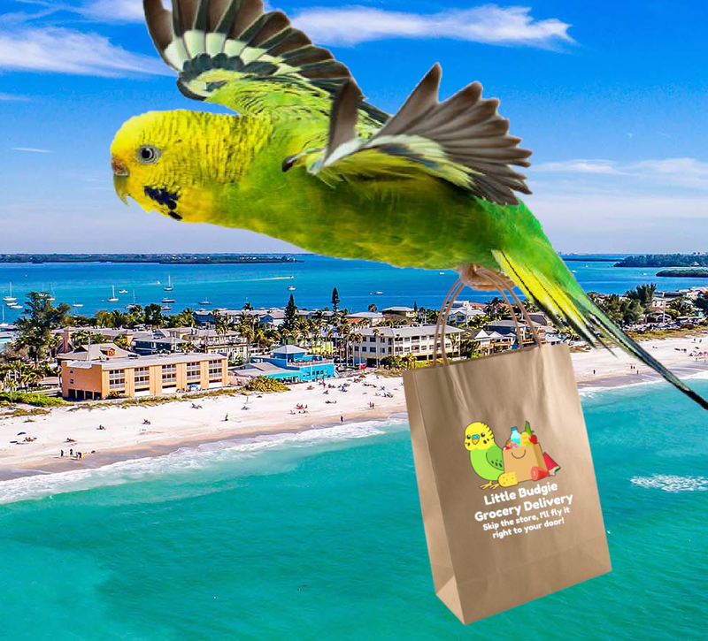 Little Budgie Grocery Delivery Anna Maria Island, LBK, and Bradenton