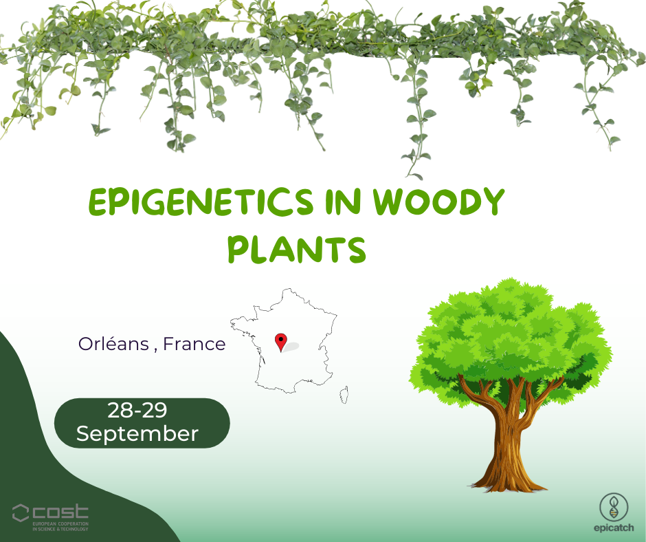 Epigenetics in woody plants