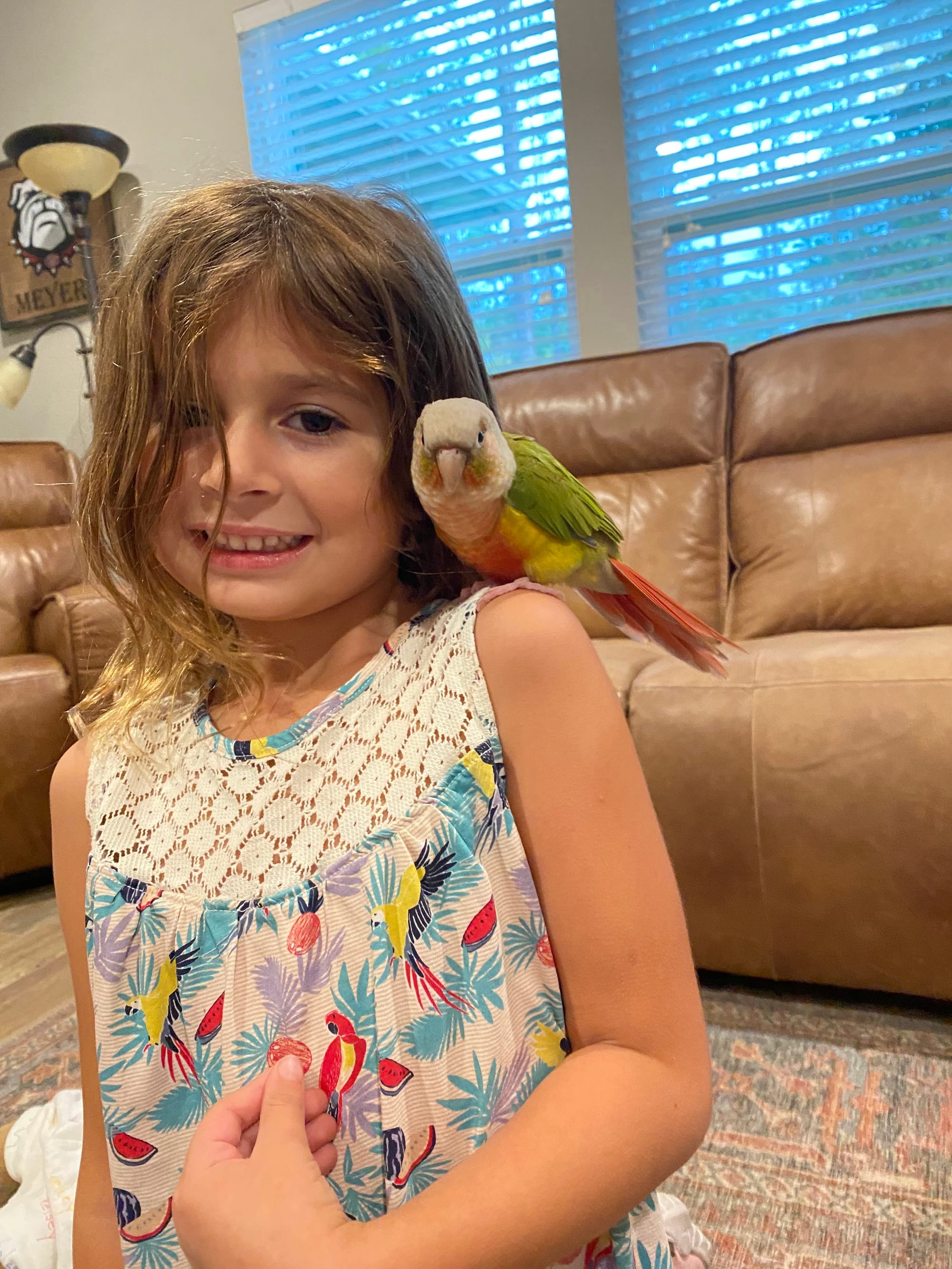 - Rainbow Parrot Rescue Florida