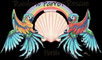 Rainbow Parrot Rescue Florida