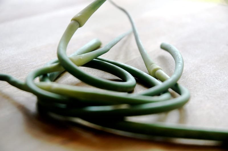 Glorious Garlic Scapes