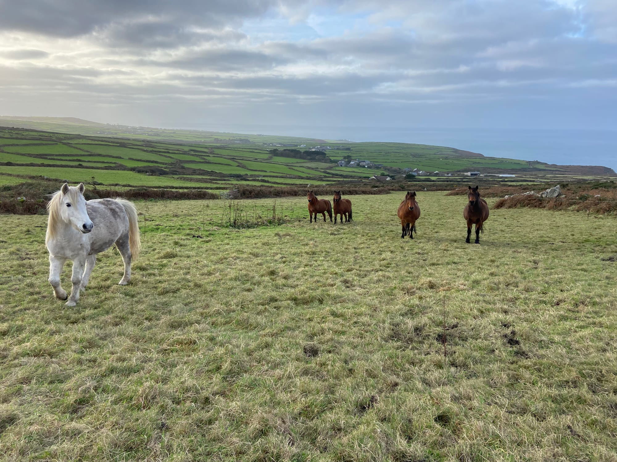 National Trust West Cornwall - September 2021