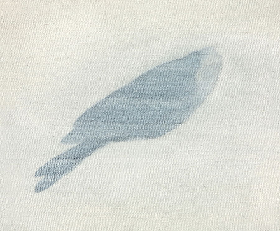 Bird I., 40 x 50 cm, acrylic on canvas,  2011