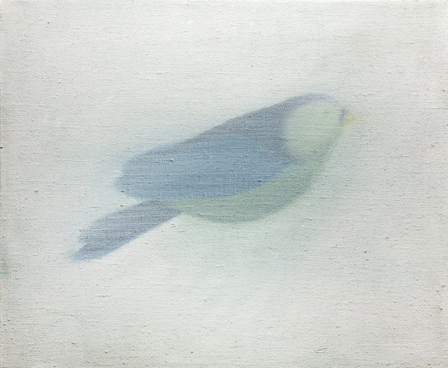 Bird II., 40 x 50 cm, acrylic on canvas, 2011