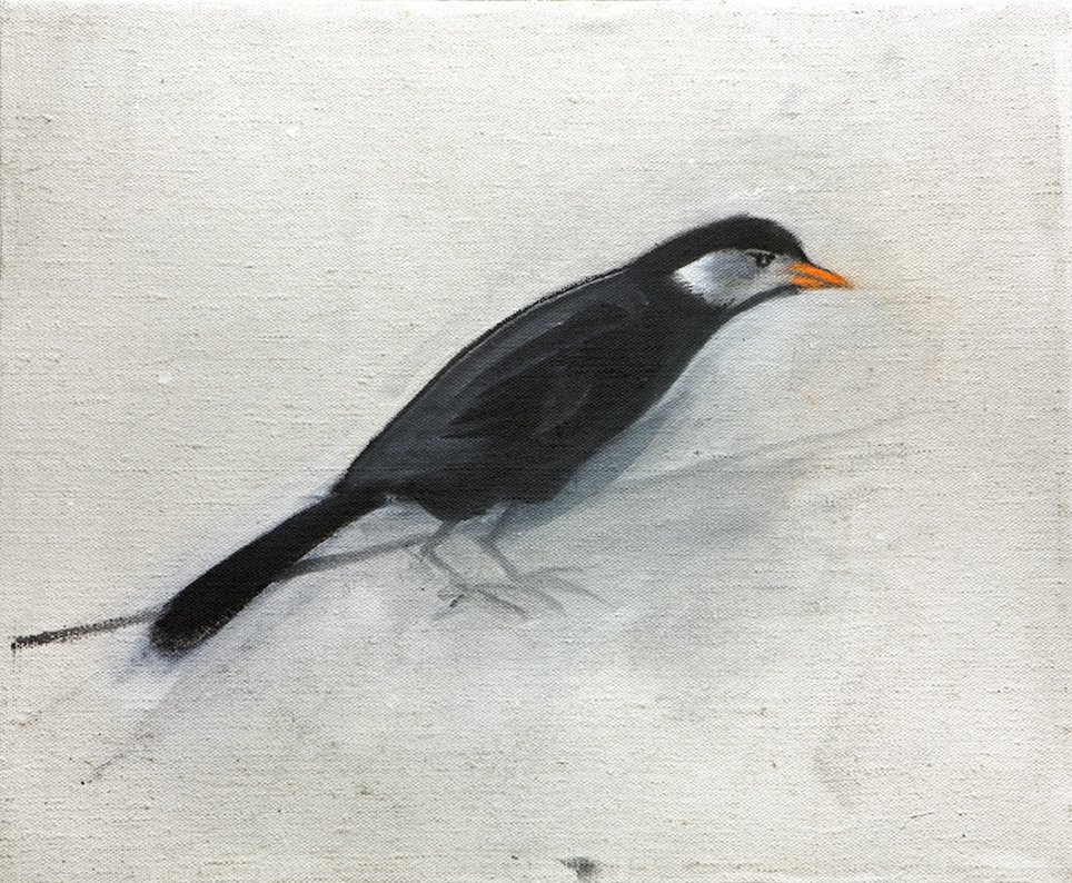 Birds IV., 40 x 50 cm, acrylic on canvas, 2011