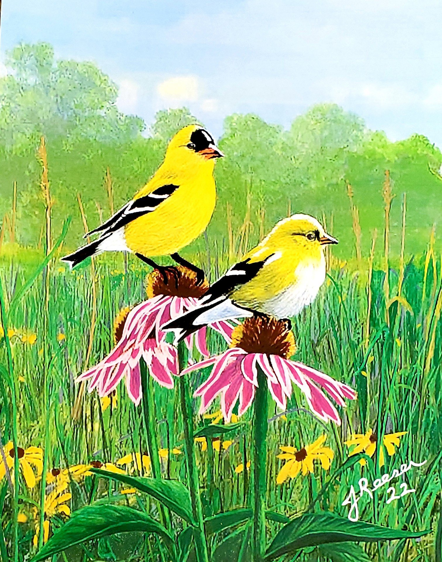 Yellow Chickadees
