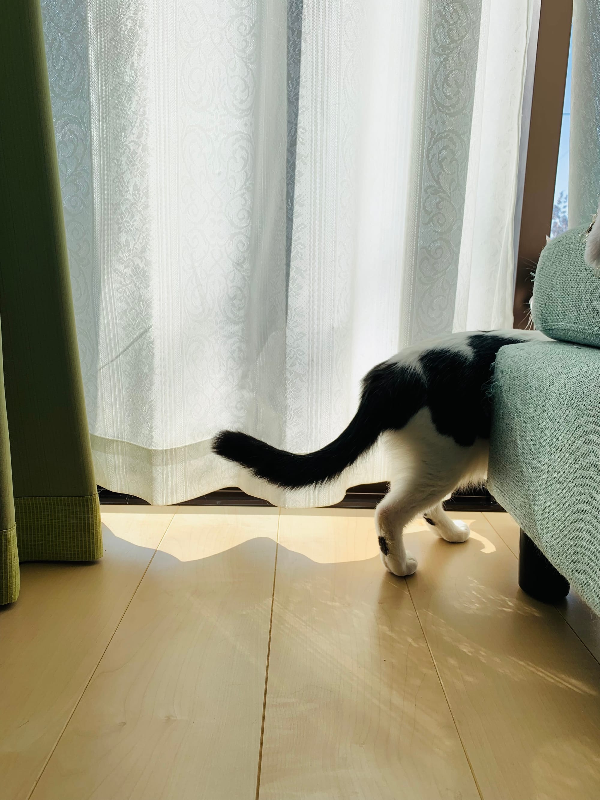 バレリーナ