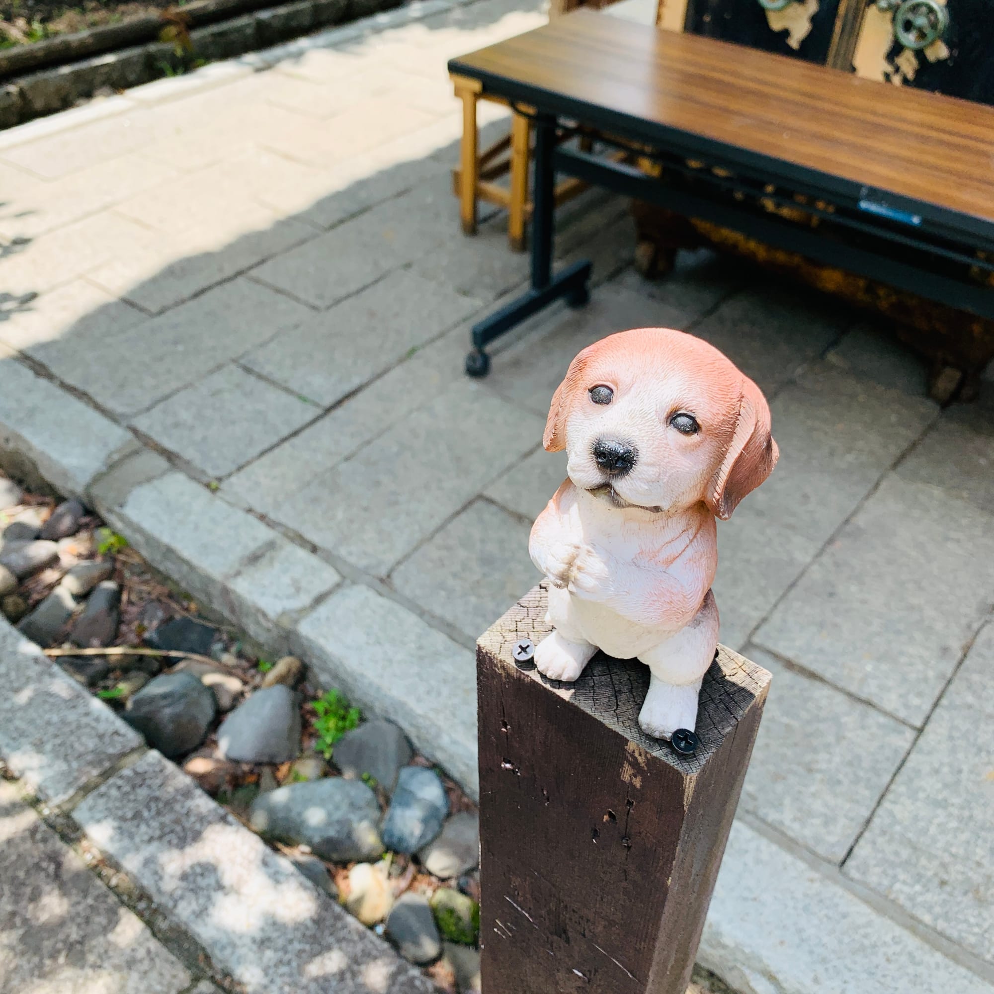見つめられると