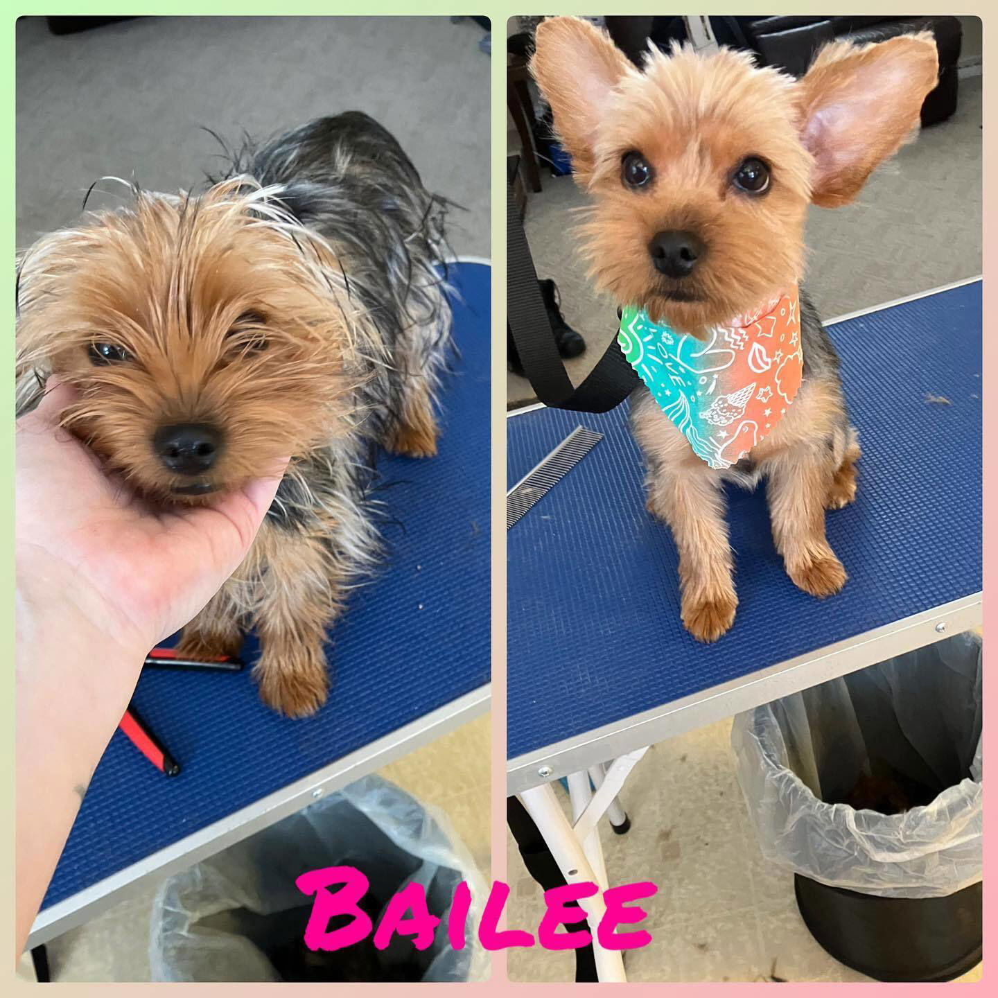 2/6/23 Bailee