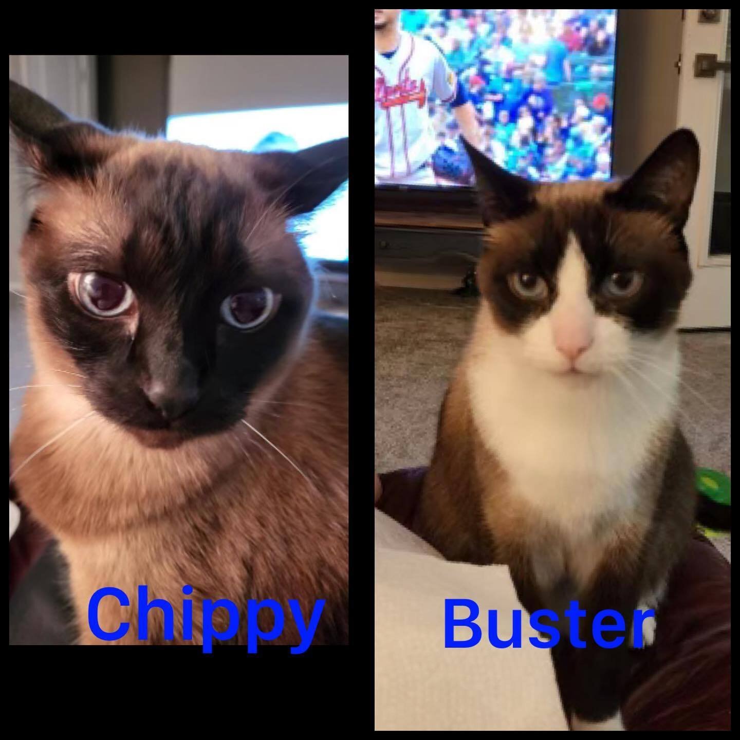 8-26-23 Chippy and Buster