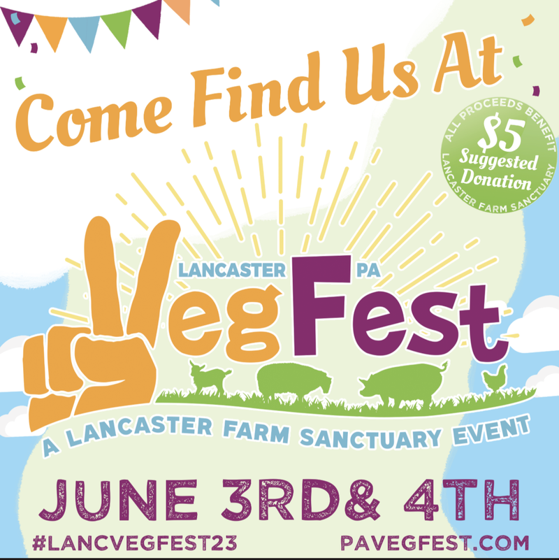 Lancaster VegFest 2023 Nu Cosmic Earth