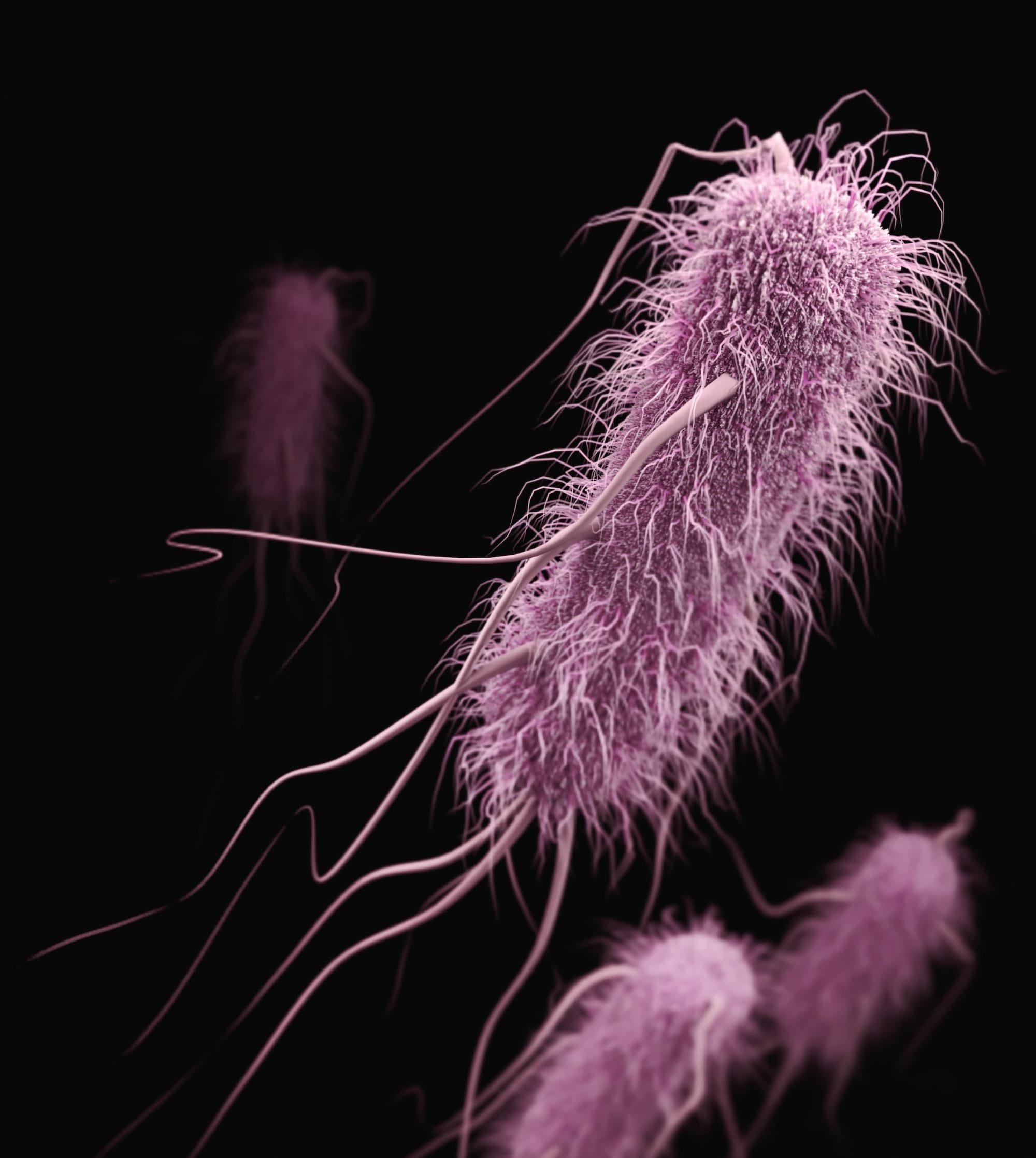 New FDA approved therapy for Helicobacter pylori infection