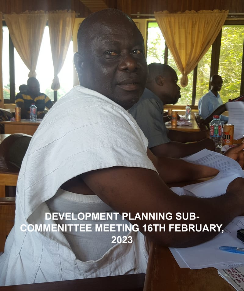 DEVELOPMENT PLANNING SUB-COMMITTEE