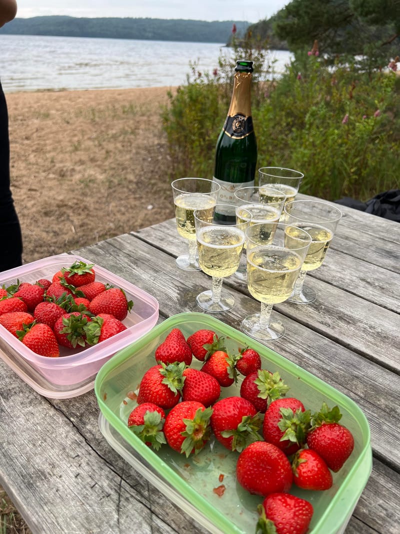 FULLBOKAD 26 aug Fredagsmys med Bubbel & snittar 2,5h ridtur