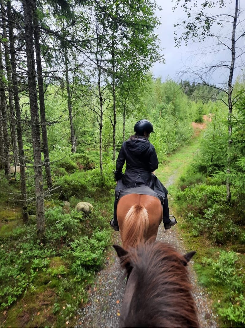 1 plats kvar 2,5h ridtur med Lyxfika