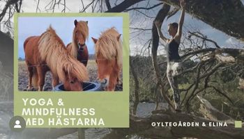 Yoga & Mindfulness med Gyltegårdens islandshästar