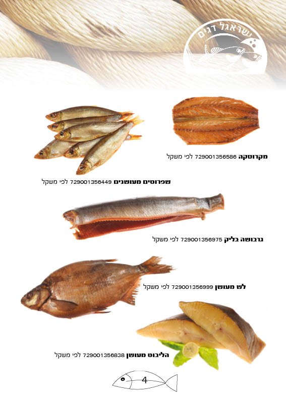 עיצוב קטלוג דגים חברת "ישראגל"