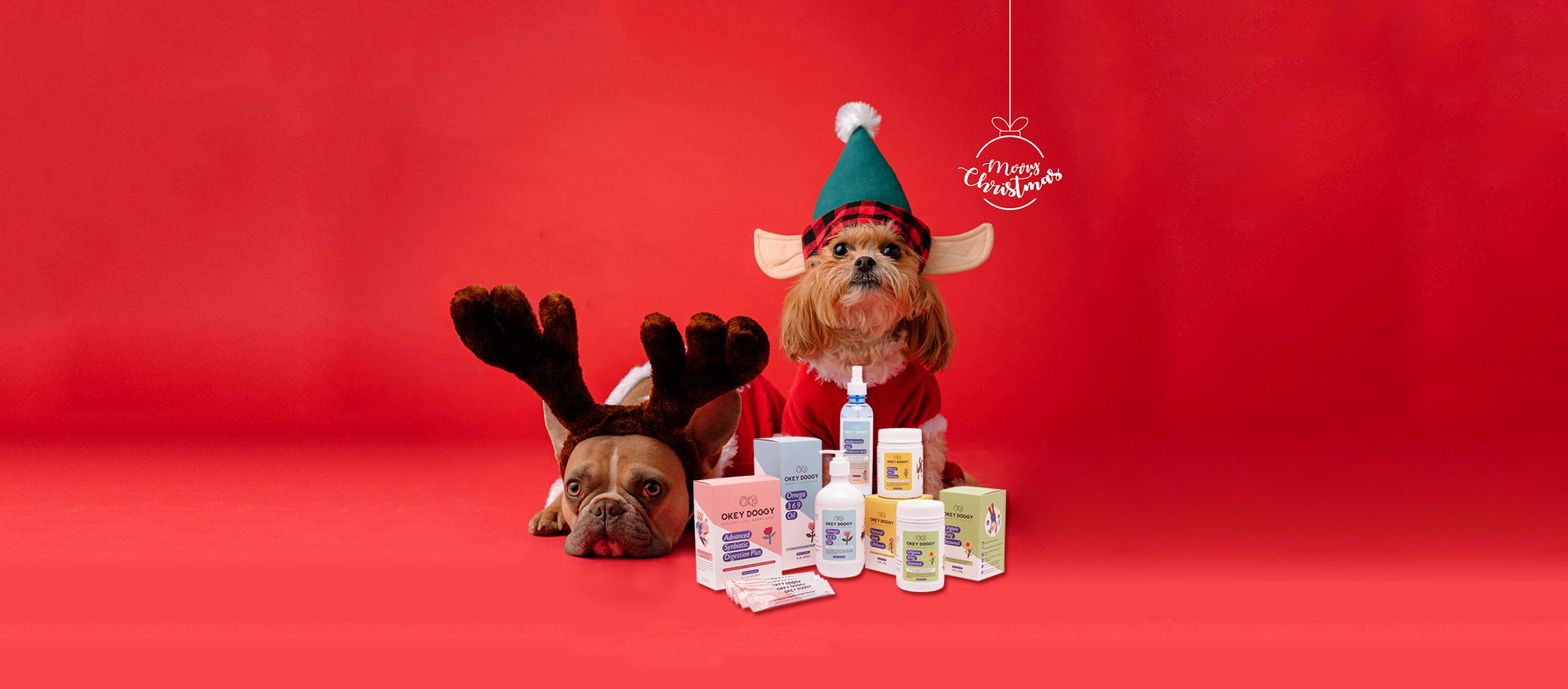 okey-doggy-home