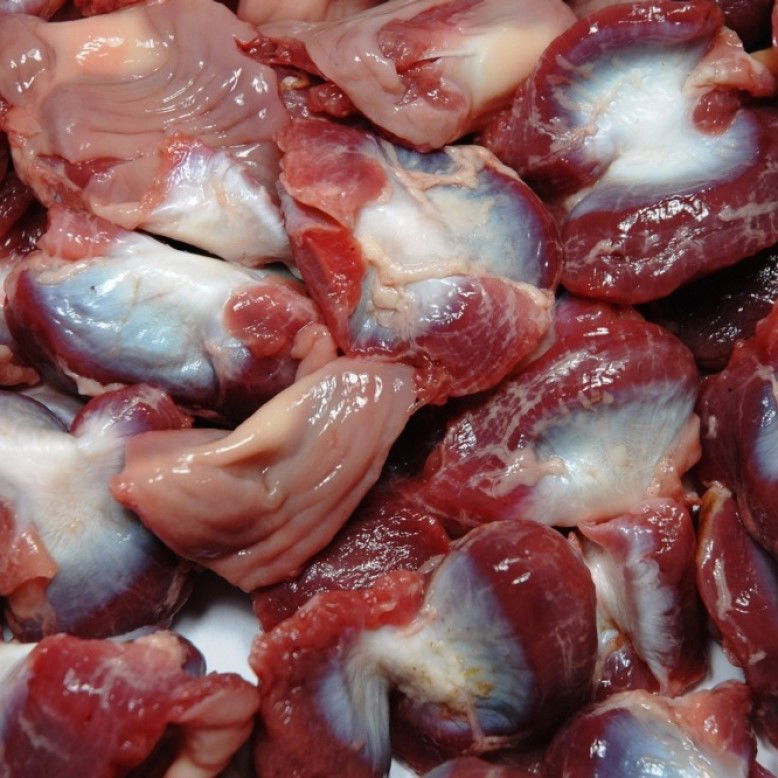 Frozen Chicken Gizzards