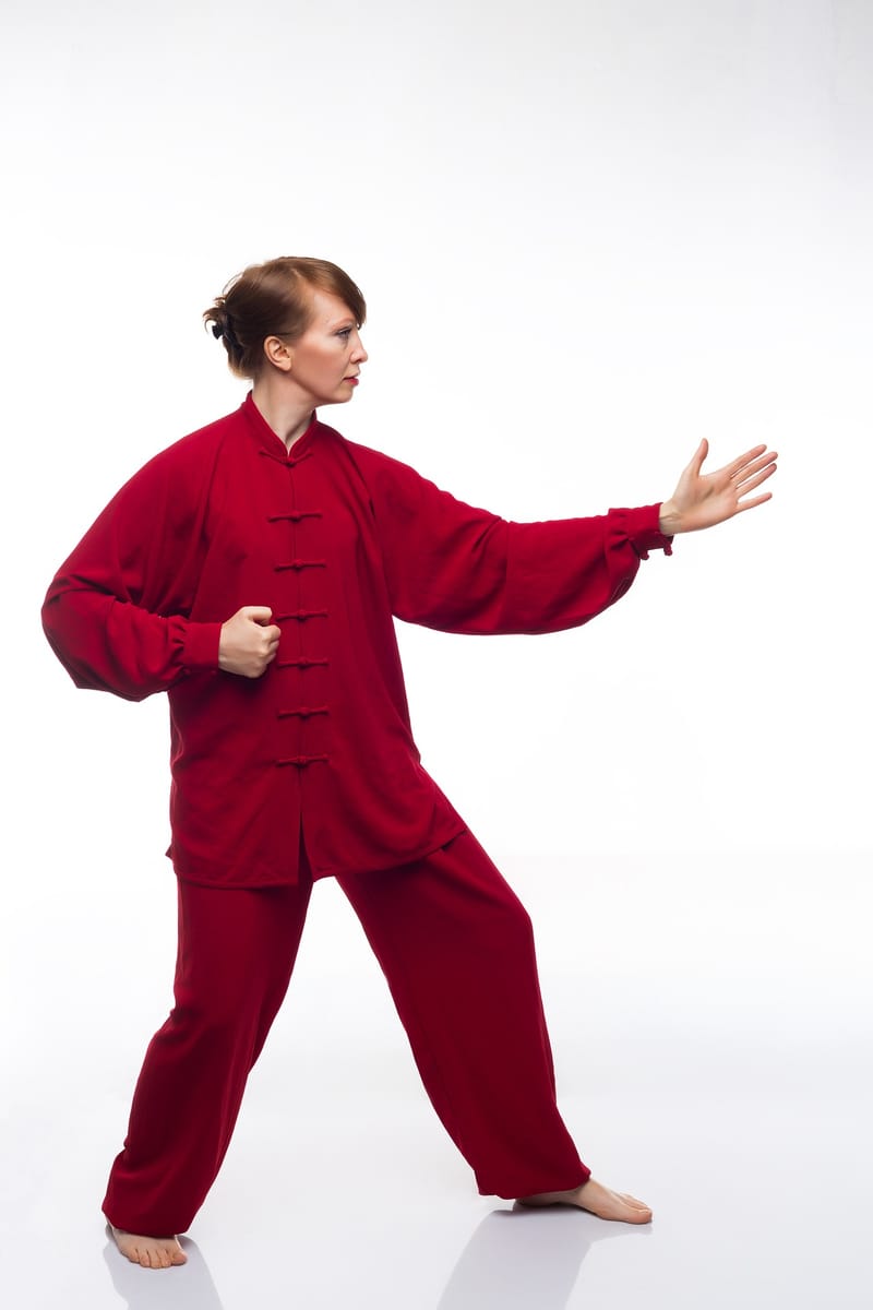 Principles And Styles Of Tai Chi Martial Art West Wind Tai Chi