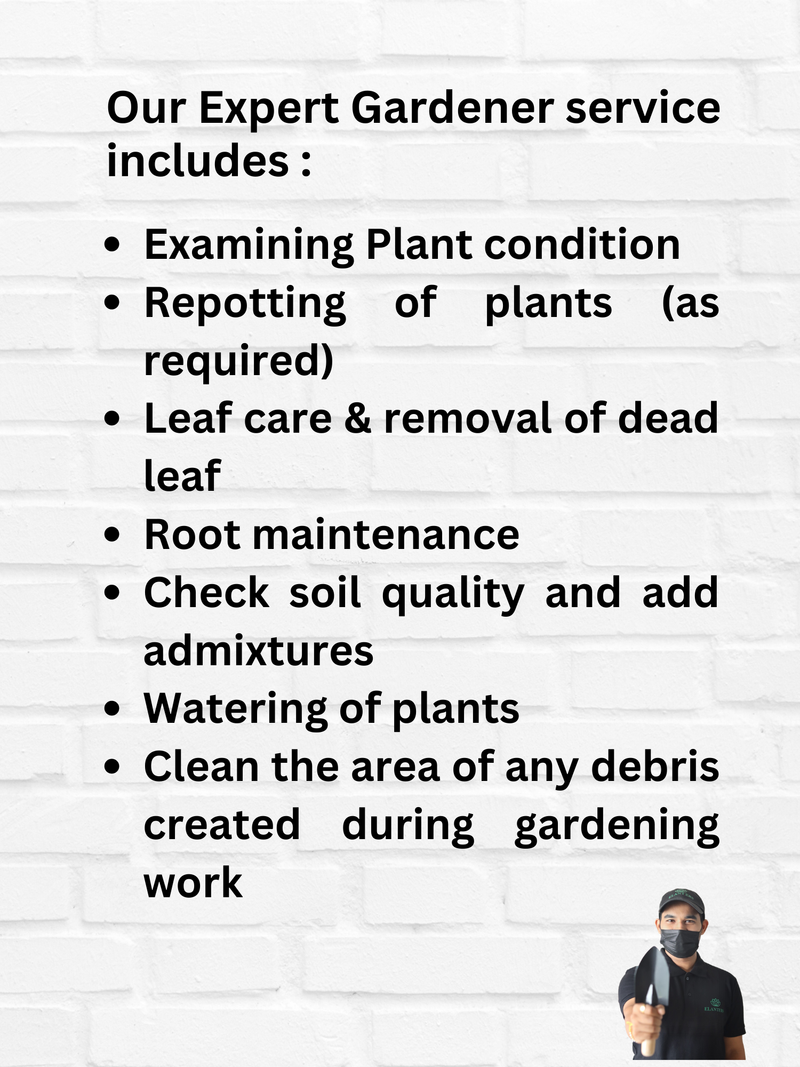 Hire Gardener Elanters hire-gardener-elanters