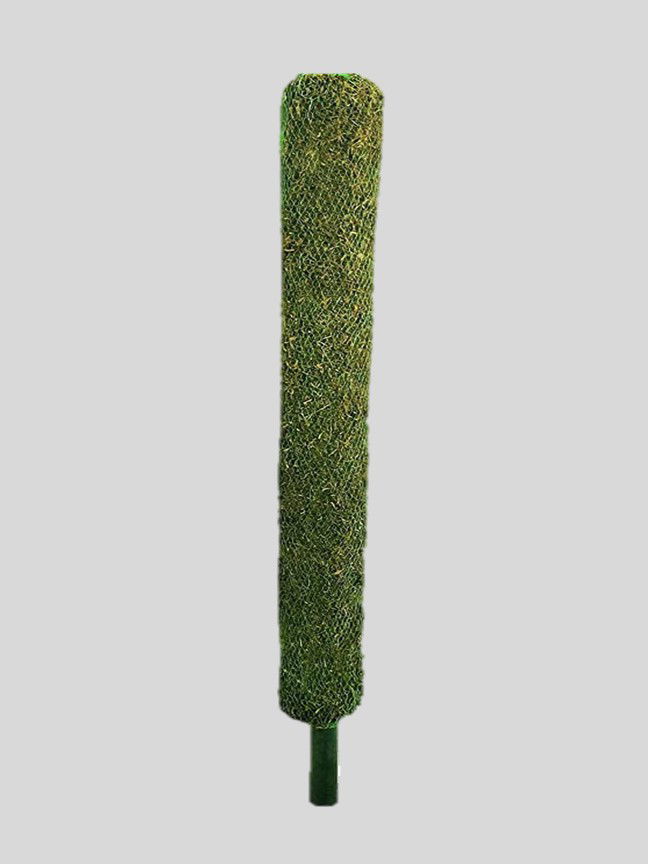 Moss Sticks Elanters