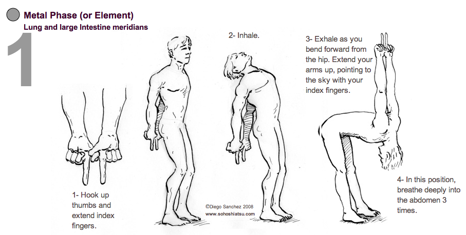 Ancient movements for health & Vitality - Makko Ho