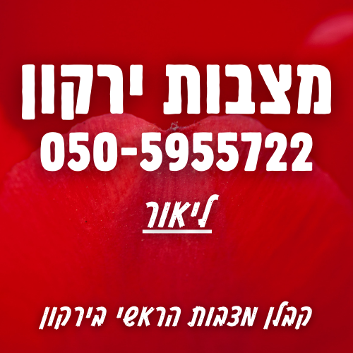 מצבות בירקון