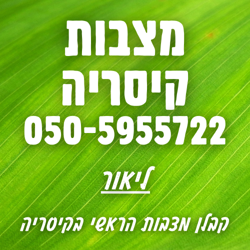 מצבות בקיסריה