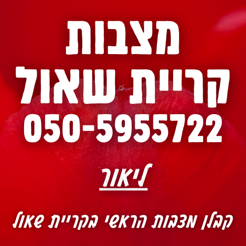 מצבות בקריית שאול